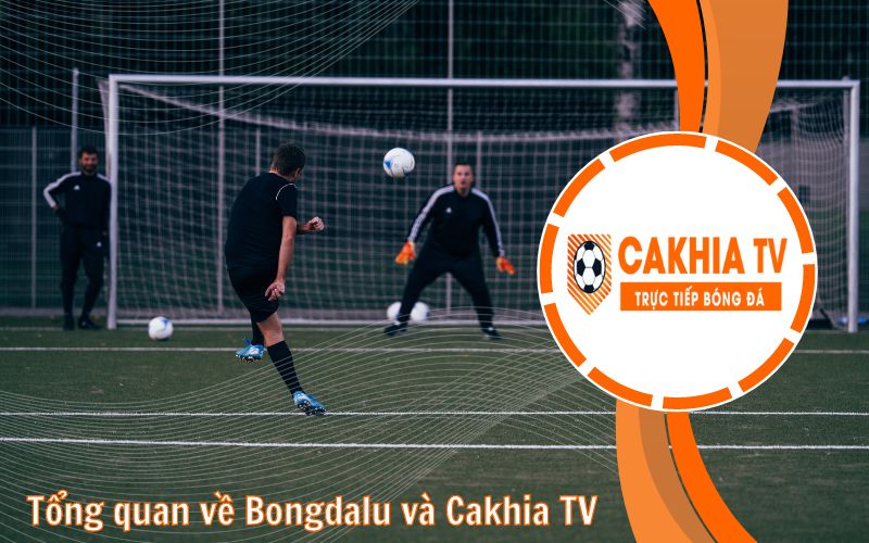 Tổng quan về Bongdalu và CakhiaTV